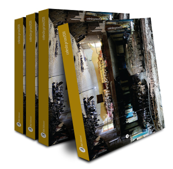 Cover Celeste Prize 2011