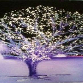 Ice tree