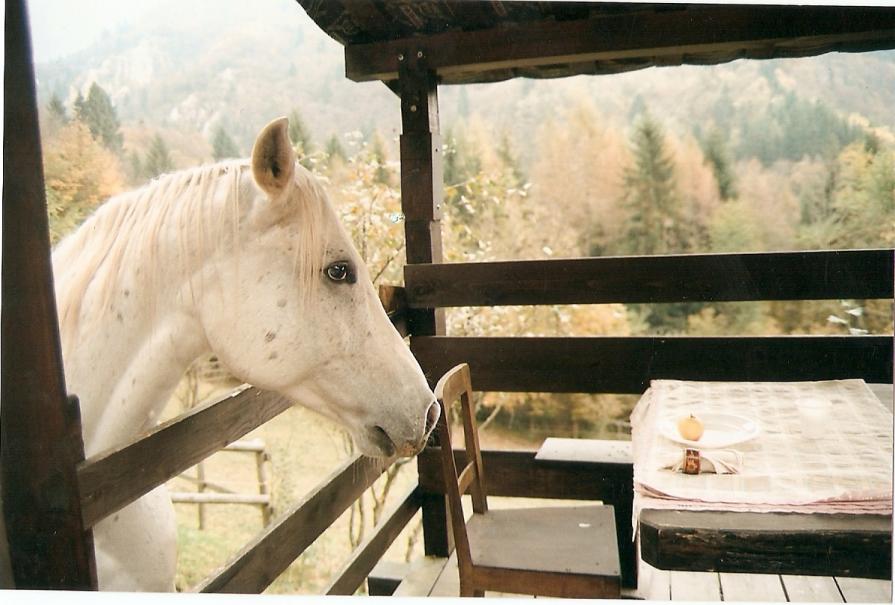 Alla stessa tavola