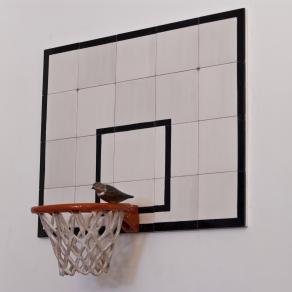 canestro da basket con uccellino