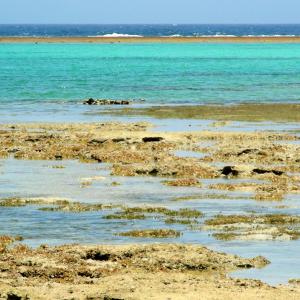 Egypt. Luxor and Marsa Alam