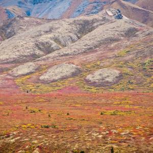 USA. Alaska 3/3. A survey of the pure