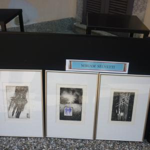 Mostra artisti galbiatesi :foto dell'evento