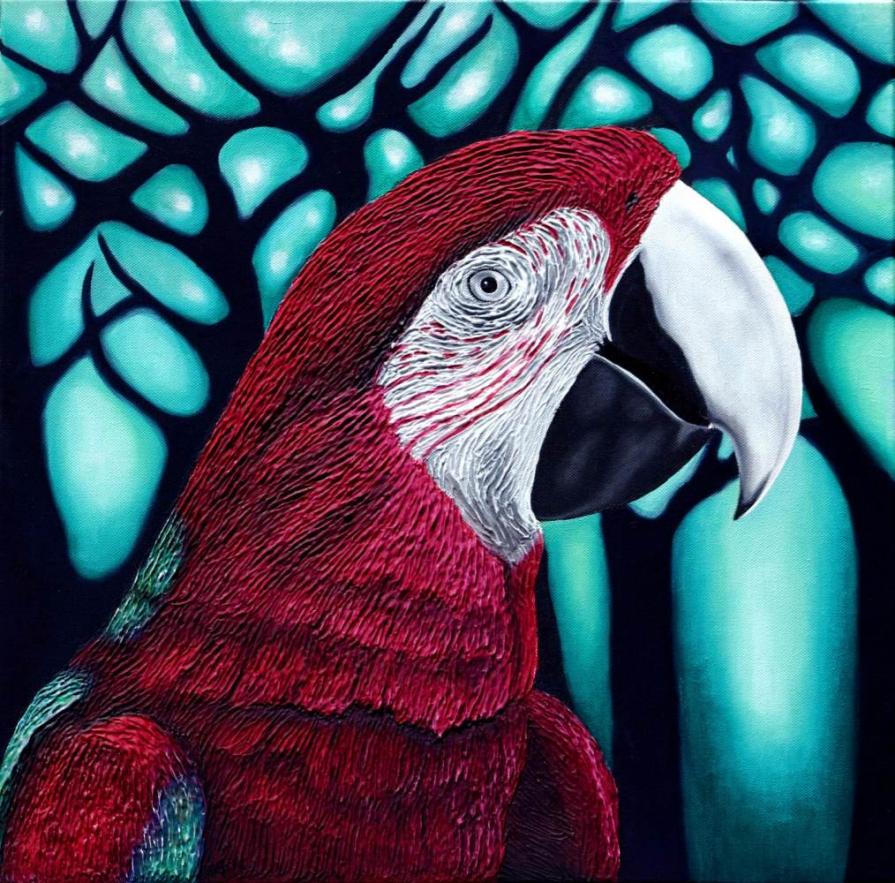 Guacamaya rossa