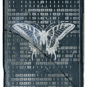 CODEX (butterfly)