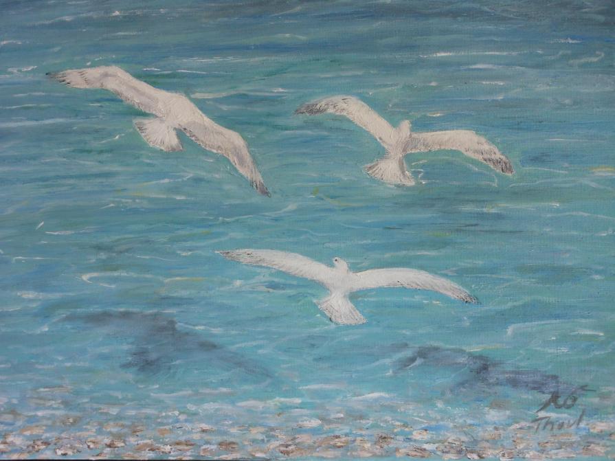 sea birds in halkidiki