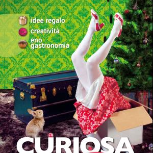 "CURIOSA in Fiera" (2013)