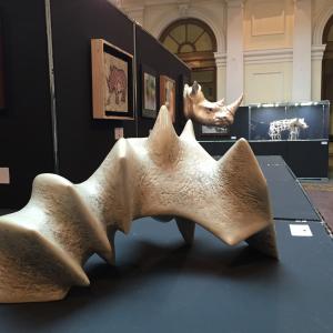 Artists 4 Rhino