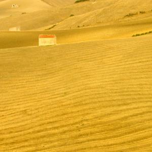 Italy. Sicily, Enna colors of summer