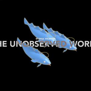 The Unobserved World