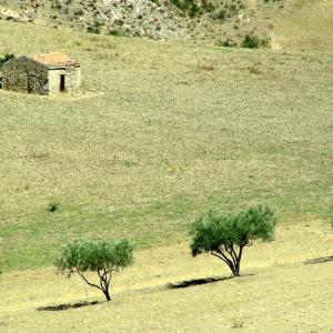 Italy. Sicily, Enna colors of summer