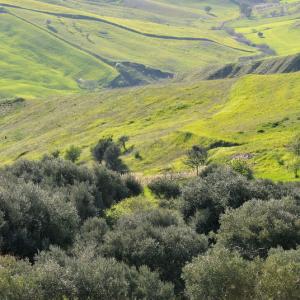 Italy. Basilicata & Campania. Dropouts and rediscovered