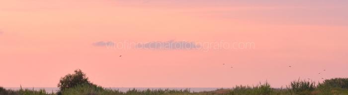 Landscape - Sicily, Tramonto con uccelli