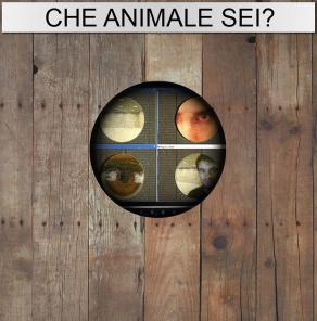 stati d'animo: che animale sei?