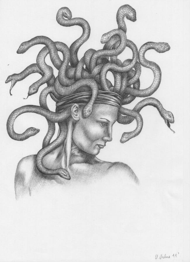 Medusa