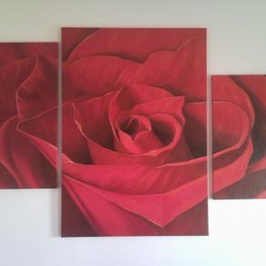 "RED ROSE"(serie relax)