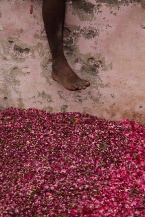 Flower walk