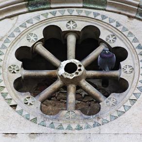 Lucca, ruota di sosta