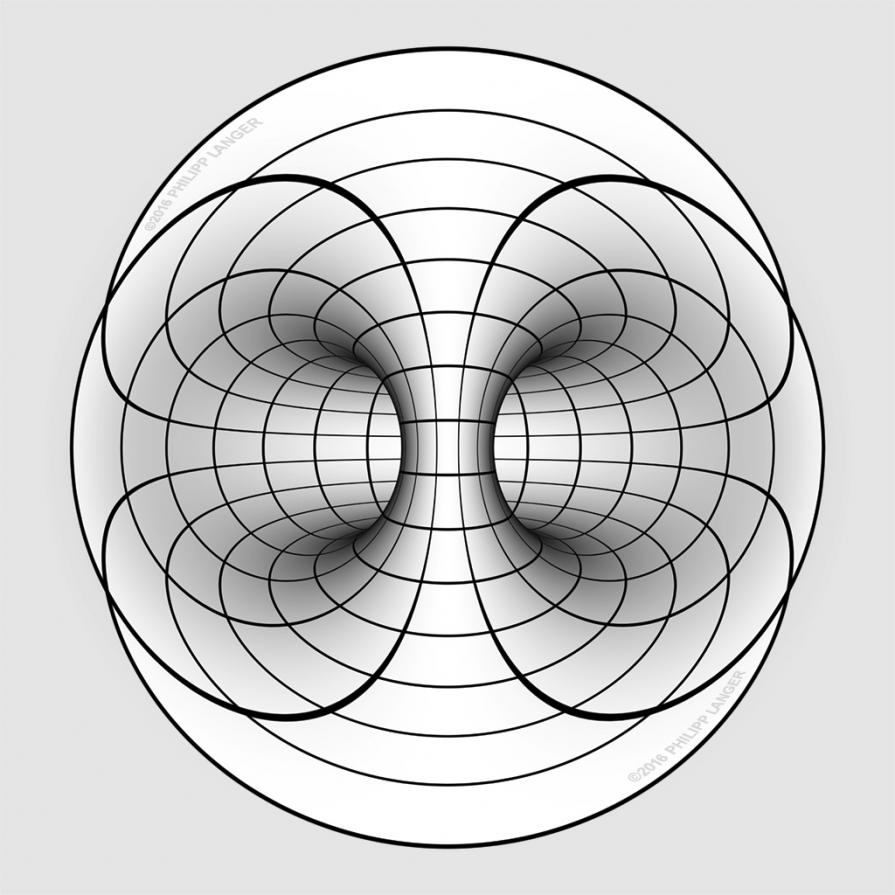 Torus Inner View