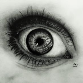 Eye