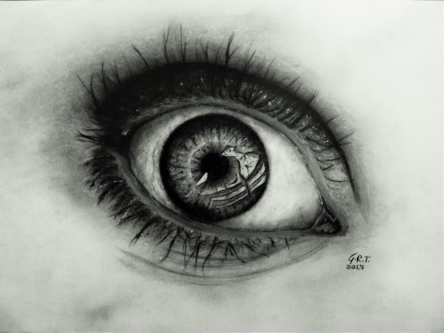 Eye