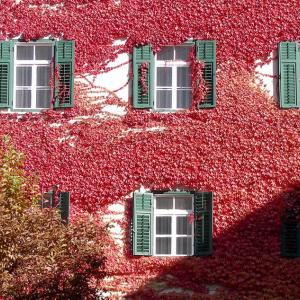 Italy. Trentino Alto Adige. Autumn colors