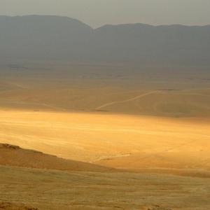 Syria. Men and stories of stone