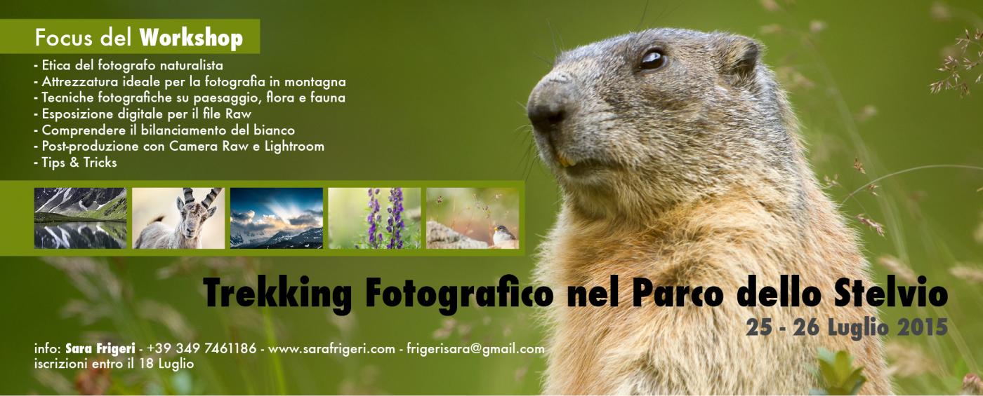 Trekking Fotografico nel Parco dello Stelvio