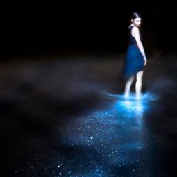 Maria Saggese Light Painter