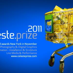 Premiazione & Mostra Finale Celeste Prize 2011