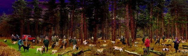 The Hunt in the Forest