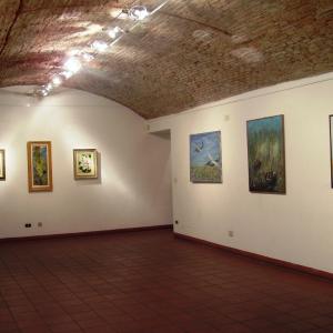 CIRCOLO ARTISTICO di BOLOGNA - collettiva arte contemporanea