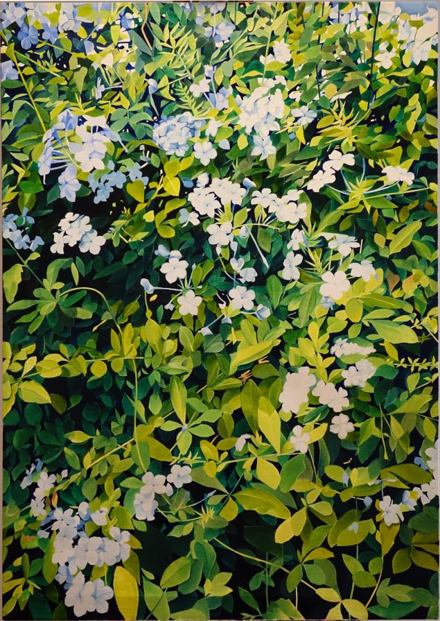 Plumbago - oil on canvas