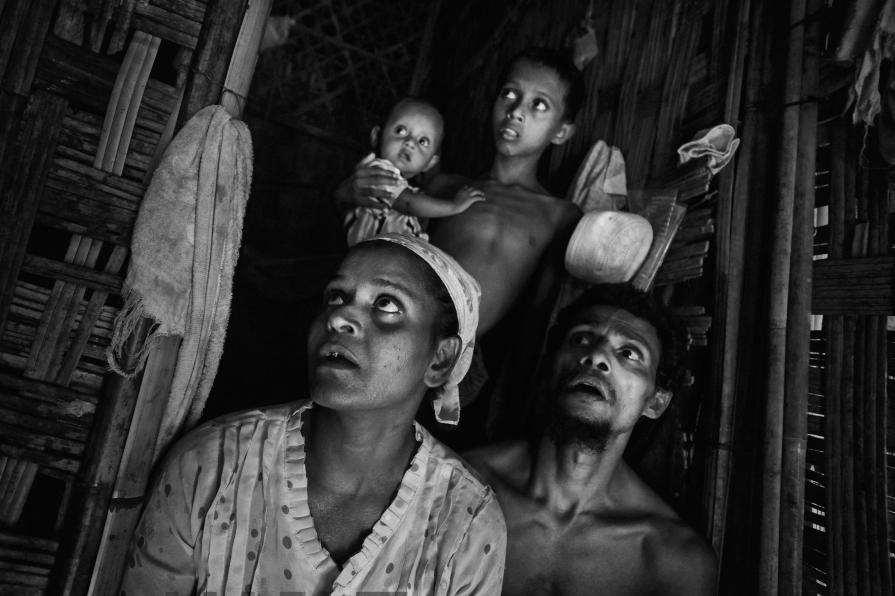 Who will save the Rohingya?