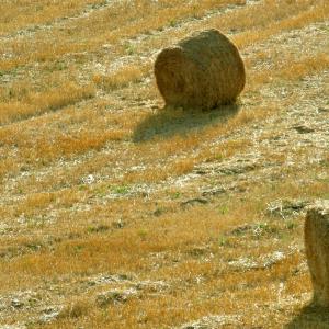 Italy. Basilicata. Potenza (2)