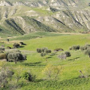 Italy. Basilicata & Campania. Dropouts and rediscovered