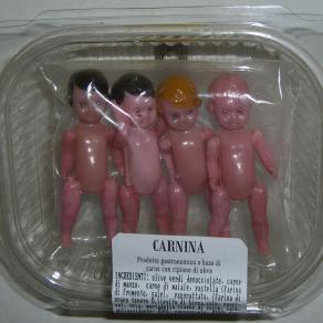 carnina