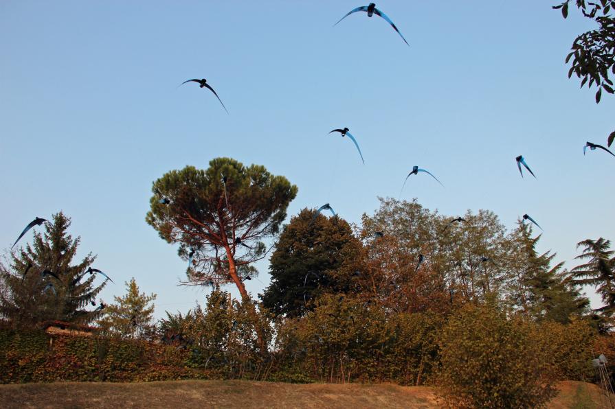 Prima della fine è un volo