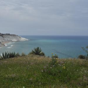 Scala dei Turchi White Wall