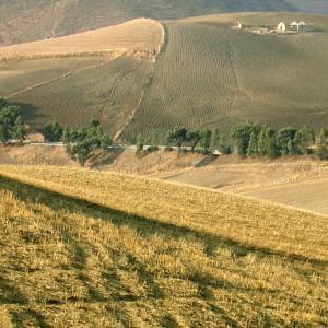 Italy. Sicily, Enna colors of summer