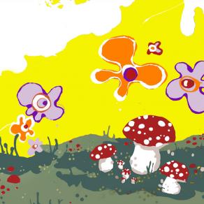 fantastic mushrooms