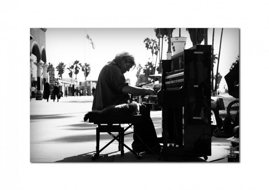 La musica di Venice