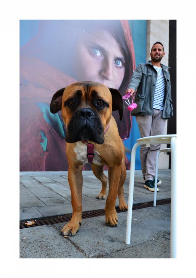 Omaggio a Steve McCurry