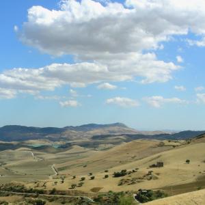 Italy. Sicily, Enna colors of summer