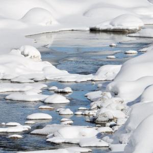 Italy. Val d'Aosta. White and his reflexes