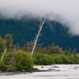 USA. Alaska 2/3. Boundaries and beyond