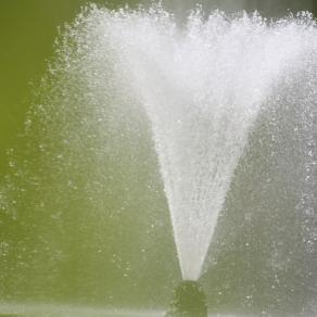 ACQUA  CON RAGGIO VERDE