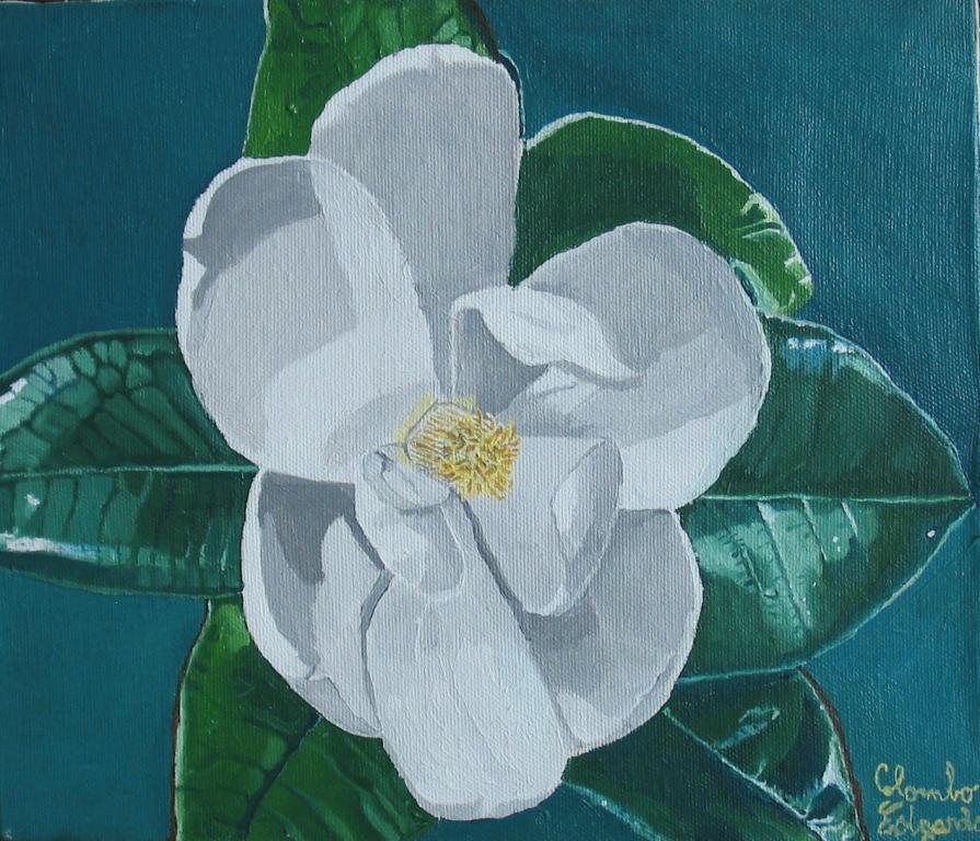 "Magnolia"