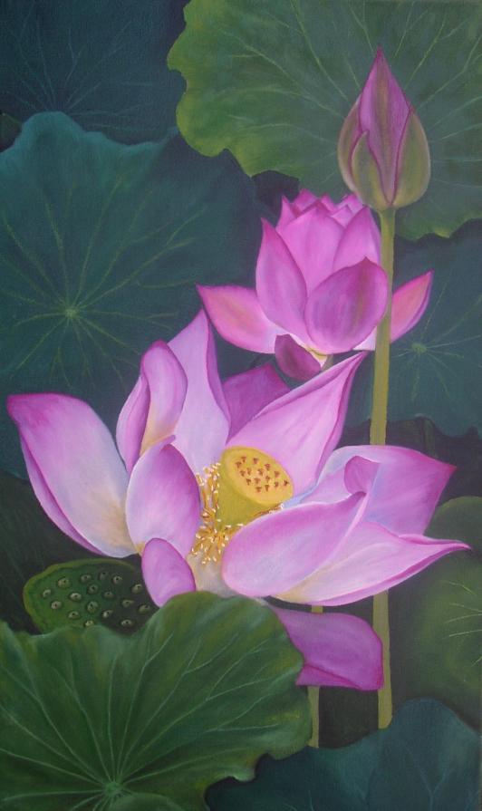 Lotuses II