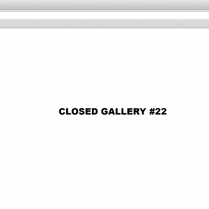 CLOSED GALLERY #22 (Galeria Felicia Hall)